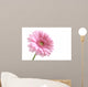 Pink Wall Decal