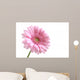 Pink Wall Decal