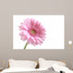 Pink Wall Decal