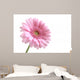 Pink Wall Decal