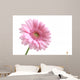 Pink Wall Decal