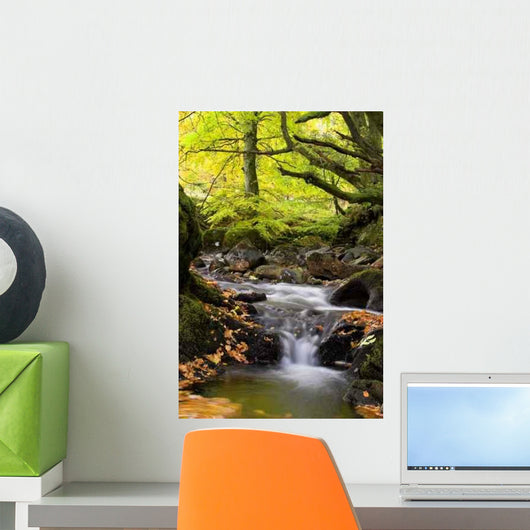 Flowing Stream Wall Decal