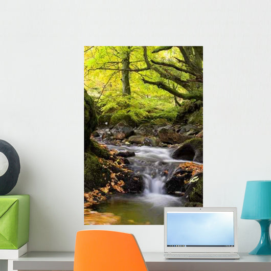 Flowing Stream Wall Decal