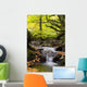 Flowing Stream Wall Decal