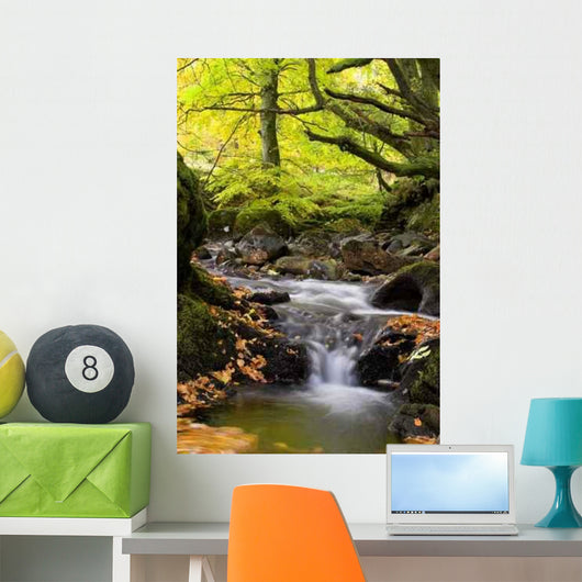 Flowing Stream Wall Decal