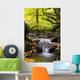 Flowing Stream Wall Decal