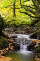 Flowing Stream Wall Decal