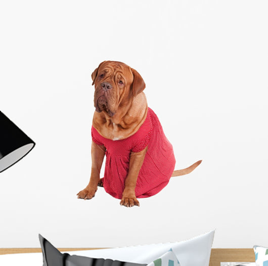 Dog Dogue Bodeaux Beed Wall Decal