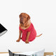 Dog Dogue Bodeaux Beed Wall Decal