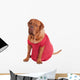 Dog of Dogue De Bodeaux Beed sitting with red romantic dress Wall Decal