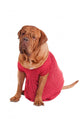 Dog of Dogue De Bodeaux Beed sitting with red romantic dress Wall Decal