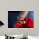 Wall Decal Design 2