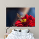 Wall Decal Design 2