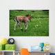 Ranch