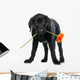 Puppy Labrador Retriever Wall Decal