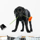 Puppy Labrador Retriever Wall Decal
