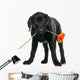 Puppy Labrador Retriever Wall Decal