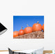 Pumpkins Wall Mural