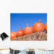 Pumpkins Wall Mural