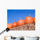 Pumpkins Wall Mural