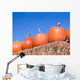 Pumpkins Wall Mural