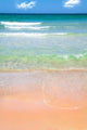 Tropical Beach Wall Mural