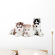 Three Siberian Husky Puppy Wall Decal