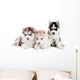 Three Siberian Husky Puppy Wall Decal