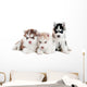 Three Siberian Husky Puppy Wall Decal