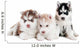 Three Siberian Husky Puppy Wall Decal