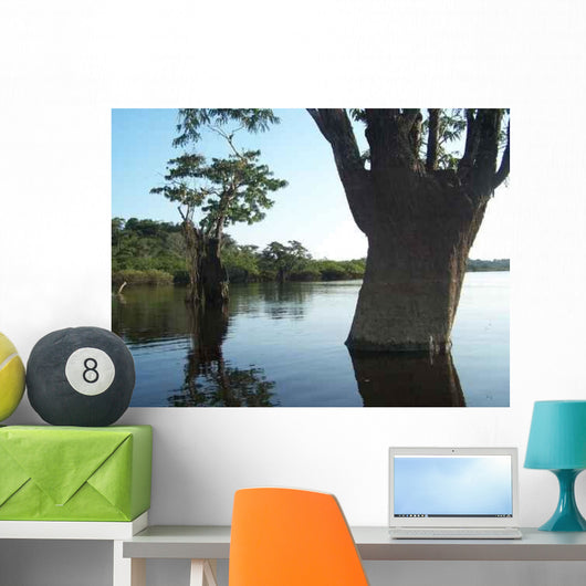 Arboles Acuaticos Wall Decal