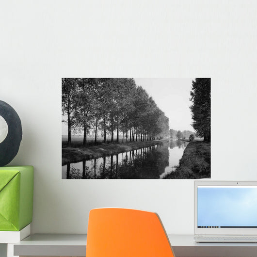 Reflection River Black and Wall Decal