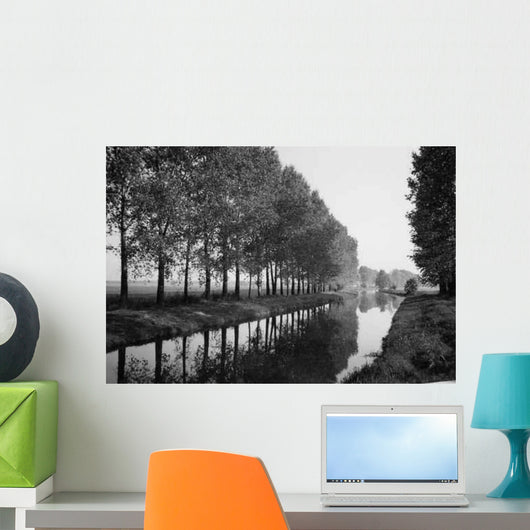Reflection River Black and Wall Decal