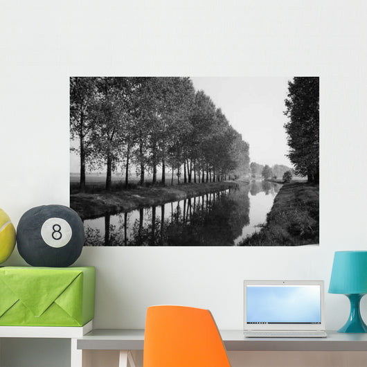 Reflection River Black and Wall Decal