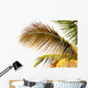 Golden Coconut Tree White Wall Mural