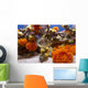 fish among corals Wall Mural