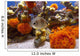 fish among corals Wall Mural