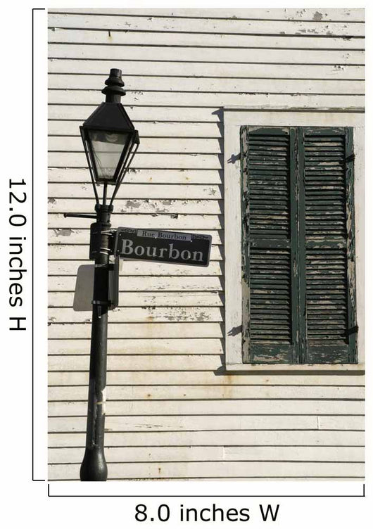 Bourbon Street Lamppost Wall Mural