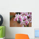 Orchideenblten