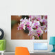 Orchideenblten
