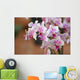 Orchideenblten