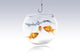 Goldfish Wall Mural