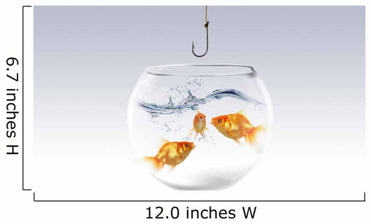 Goldfish Wall Mural