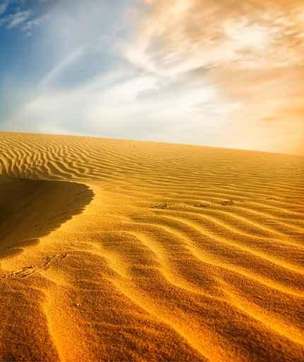 Desert Landscape Wall Decal