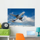 Big airliner Wall Mural