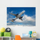 Big airliner Wall Mural