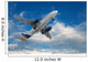 Big airliner Wall Mural