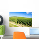 vineyards of Cote de Beaune near Pommard, Burgundy, France Wall Mural