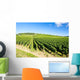 vineyards of Cote de Beaune near Pommard, Burgundy, France Wall Mural