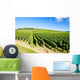vineyards of Cote de Beaune near Pommard, Burgundy, France Wall Mural